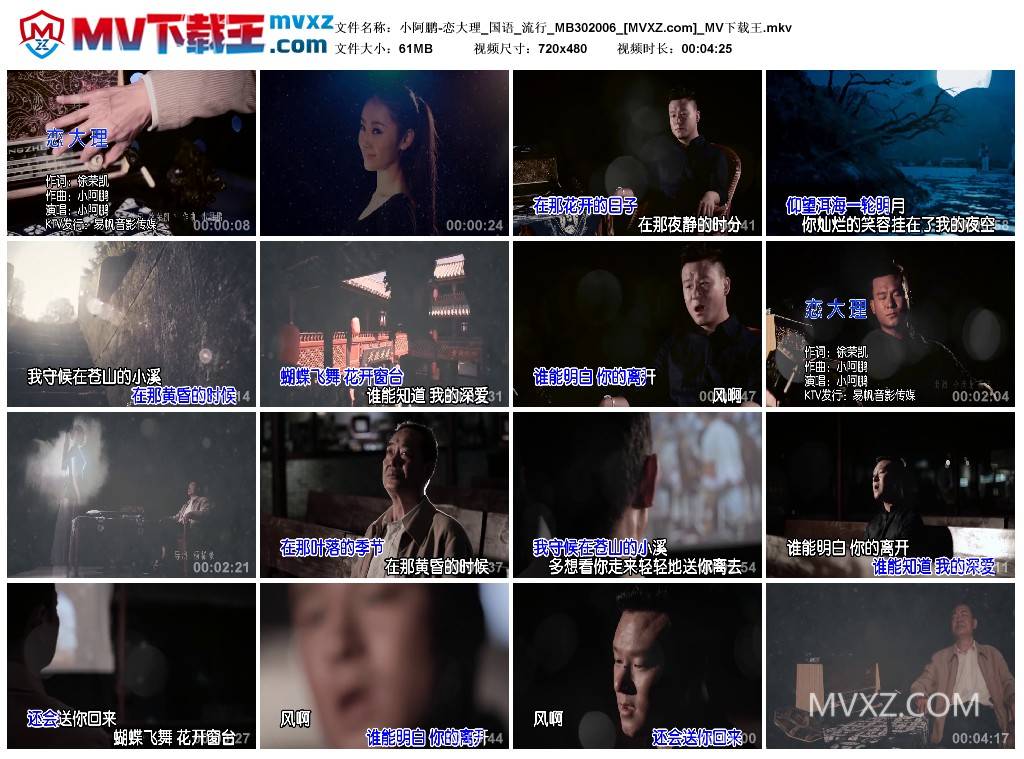 小阿鹏-恋大理_国语_流行_MB302006